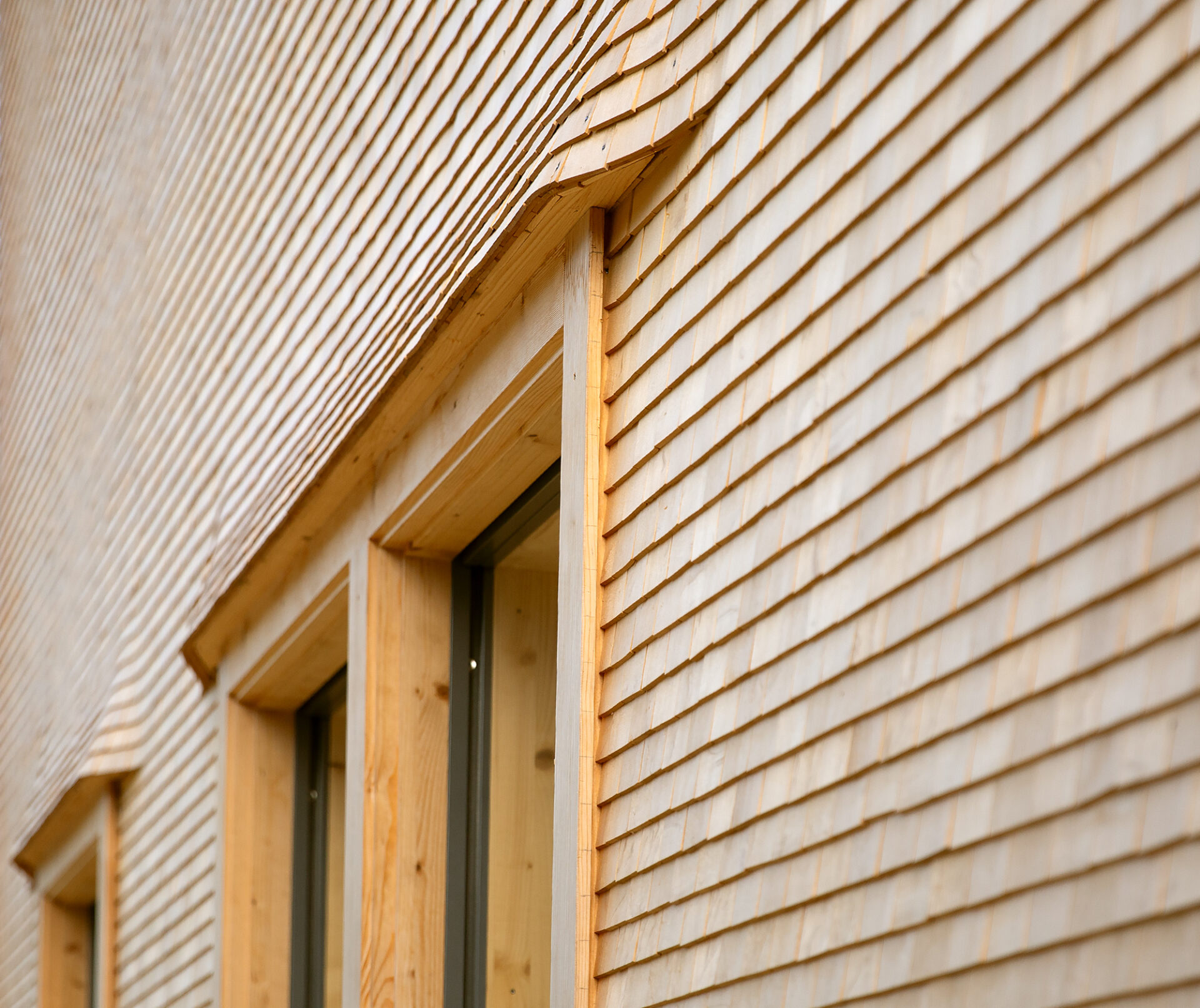 rutz-bazenheid-fassade_04