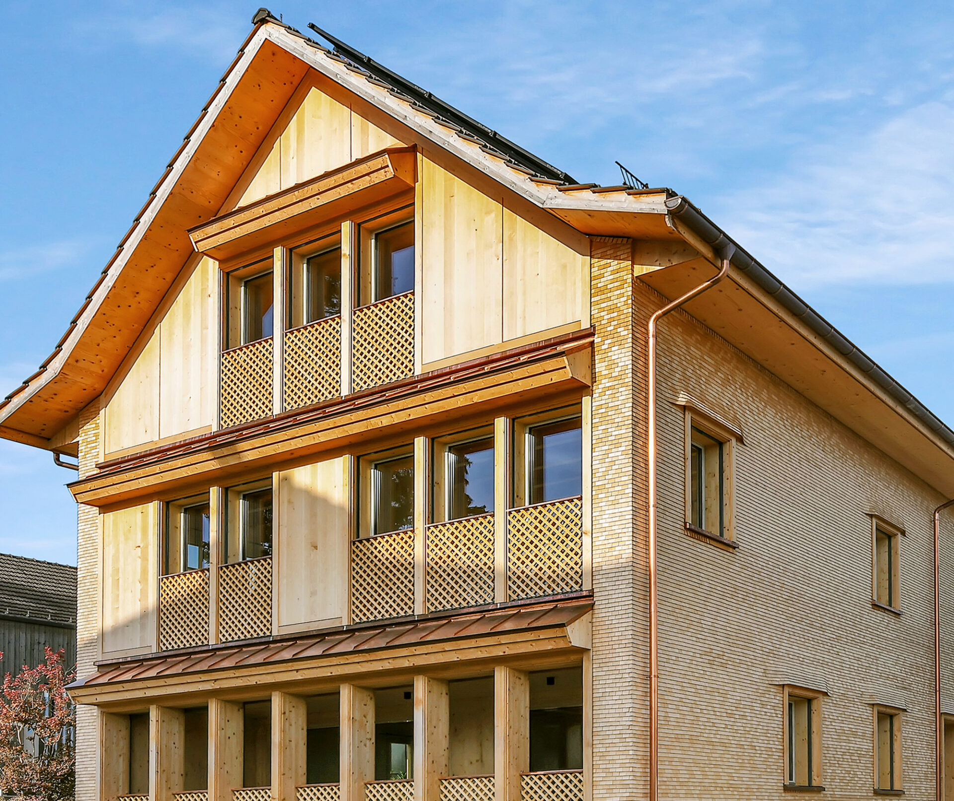 rutz-bazenheid-fassade_06