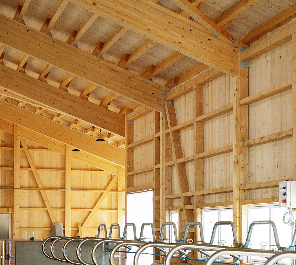 wh-holzbau-startseite-4