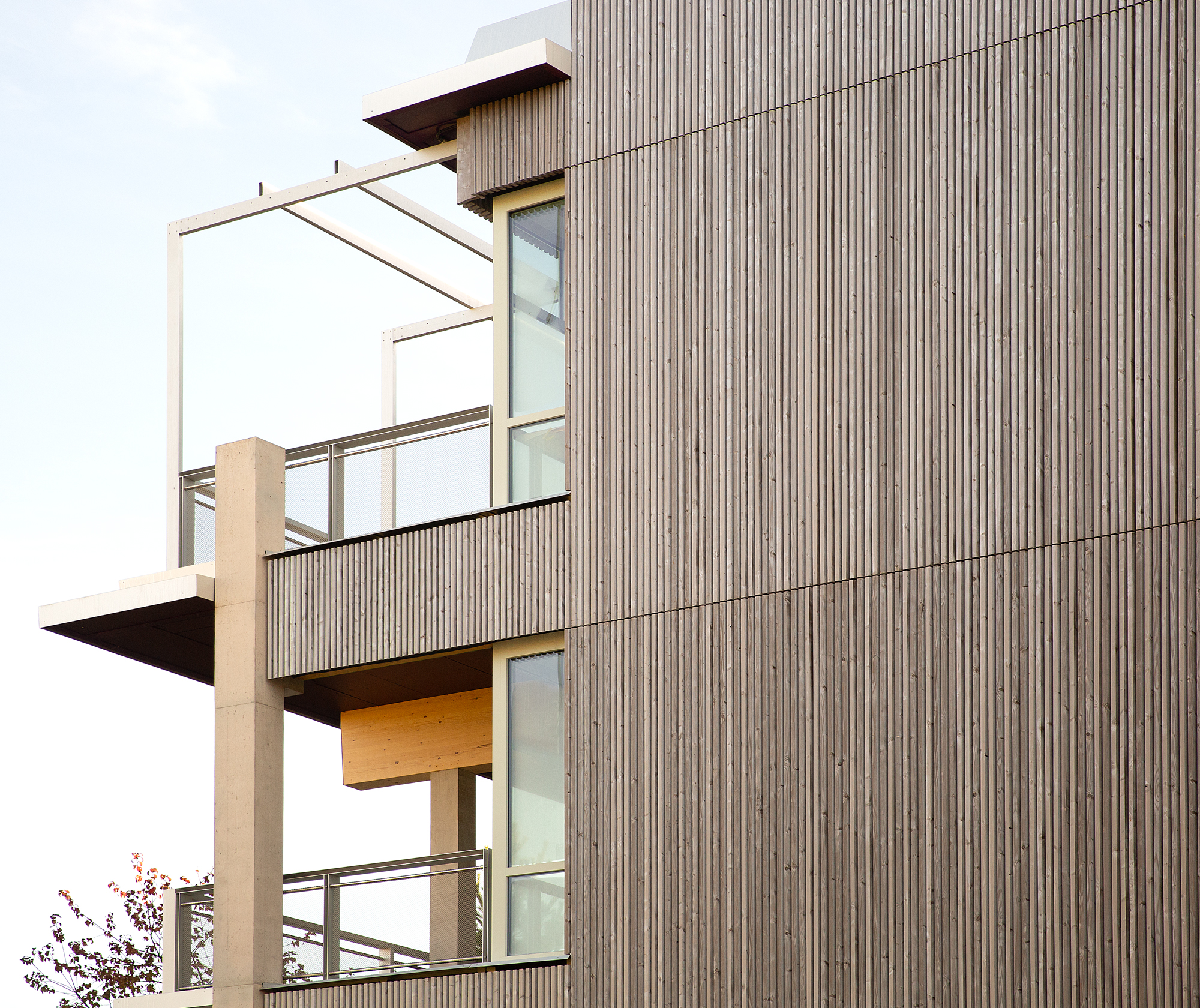 schule wetzikon fassade04 - Wohlgensinger schule-wetzikon_fassade04